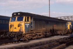 50 014